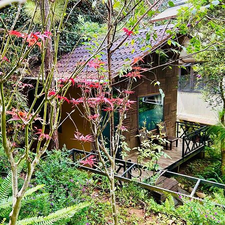 Bazan Home - Hotel & Bungalow Плей Ку Екстериор снимка