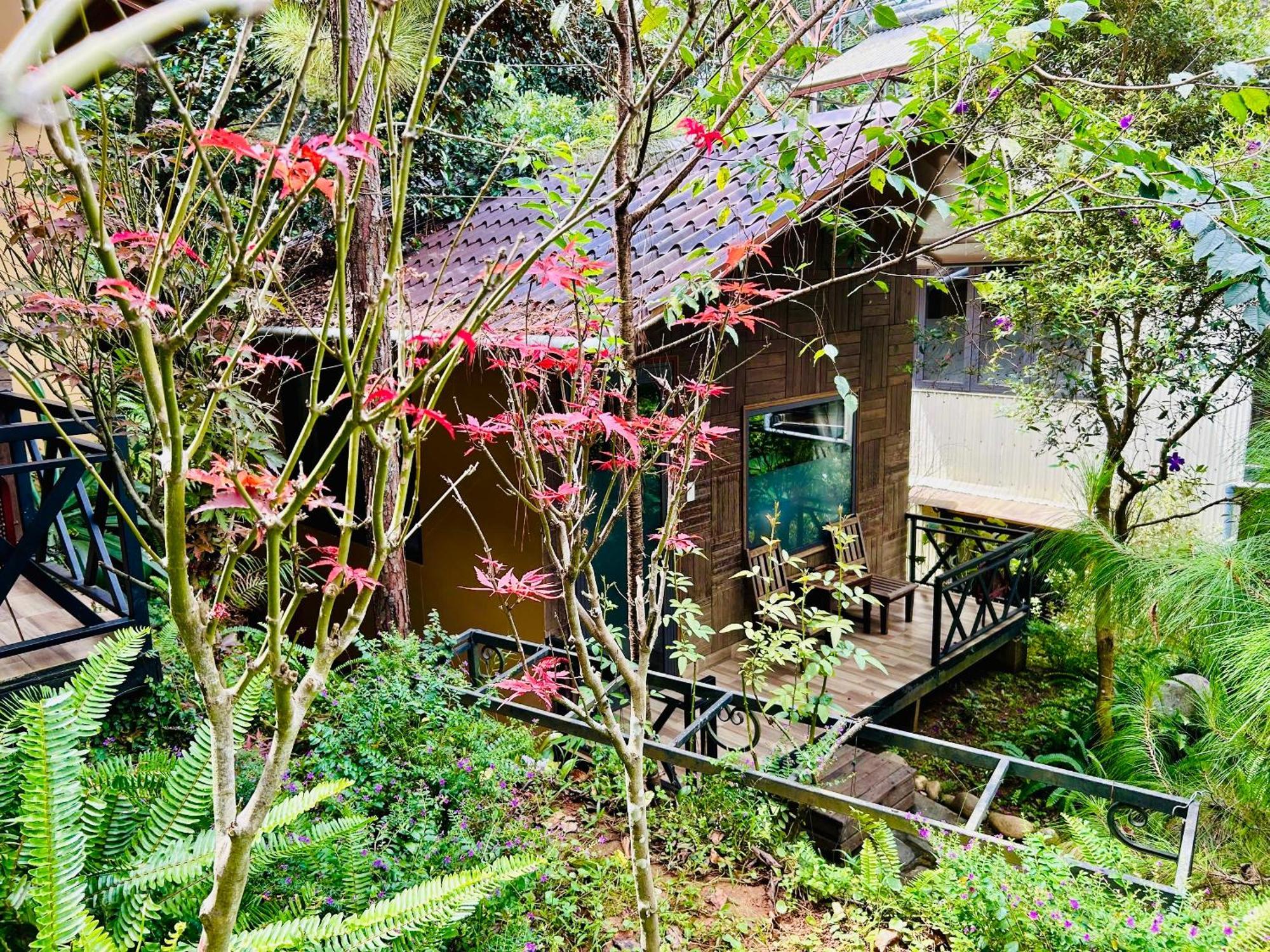 Bazan Home - Hotel & Bungalow Плей Ку Екстериор снимка